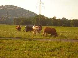 2013-07-27_Herzogstand-Pionier (570).JPG